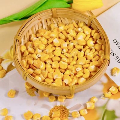 comprar Cereales de maíz congelados de primera calidad Amarillo dorado con alto contenido de fibra online manufacture