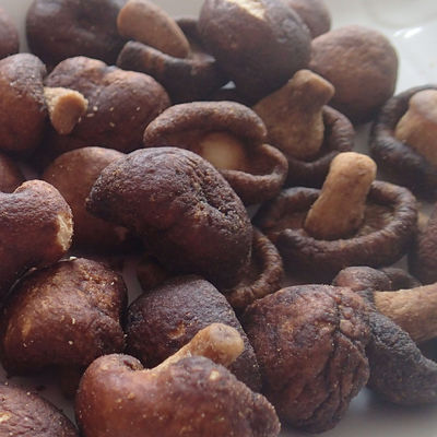 Buen precio Color secado de Mini Mushroom Vacuum Not Add para los niños de las mujeres embarazadas en línea