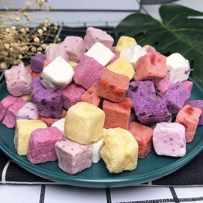 Buen precio Saborizante yogur liofilizado, rico en proteínas, sabor a fruta de dragón, 25 gramos para la recuperación después del entrenamiento